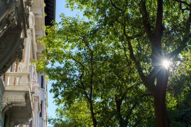 Milan, Lombardy, İtalya: Mascheroni boyunca uzanan tarihi binaların dış yüzeyi.