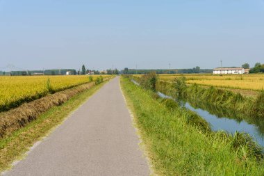 Yazın Bereguardo 'dan Abbiategrasso' ya kadar Bereguardo kanalı boyunca kırsal alan.