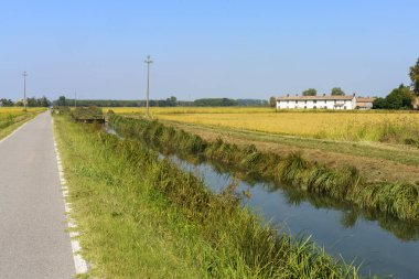 Yazın Bereguardo 'dan Abbiategrasso' ya kadar Bereguardo kanalı boyunca kırsal alan.