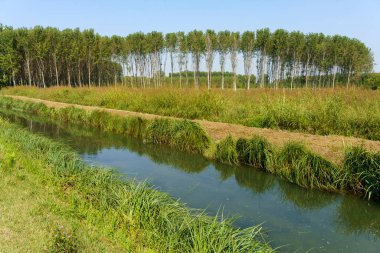 Yazın Bereguardo 'dan Abbiategrasso' ya kadar Bereguardo kanalı boyunca kırsal alan.