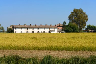 Yazın Bereguardo 'dan Abbiategrasso' ya kadar Bereguardo kanalı boyunca kırsal alan.