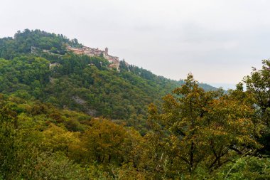 Varese, Lombardy, İtalya: Eylül ayında Campo dei Fiori Ormanı