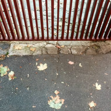 Milan, Lombardy, İtalya: ölü yapraklar ve kırmızı kapı Ekim 'de