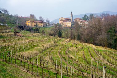 Lissolo yakınlarındaki Montevecchia Park 'ta (Şubat) kışın kırsal alan.
