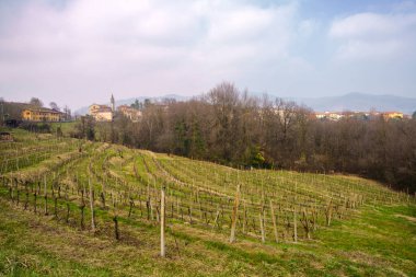Lissolo yakınlarındaki Montevecchia Park 'ta (Şubat) kışın kırsal alan.