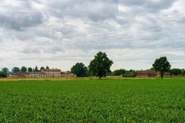 Paisaje Rural Primavera Cerca Certosa Pavia Provincia Pavía Lombardía Italia — Foto de Stock