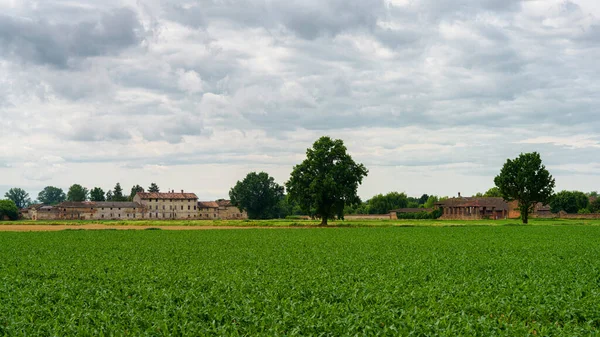 Paisaje Rural Primavera Cerca Certosa Pavia Provincia Pavía Lombardía Italia — Foto de Stock