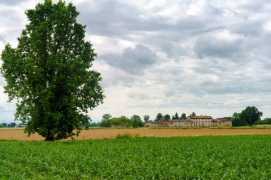 İlkbaharda Certosa di Pavia yakınlarındaki kırsal alan, Pavia ili, Lombardy, İtalya