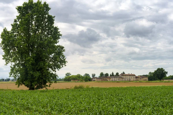 İlkbaharda Certosa di Pavia yakınlarındaki kırsal alan, Pavia ili, Lombardy, İtalya
