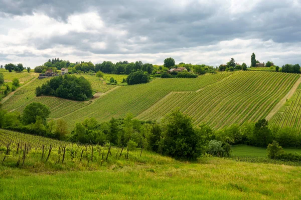 Viñedos Oltrepo Pavese Lombardía Italia Paisaje Rural Primavera Cerca Casteggio —  Fotos de Stock