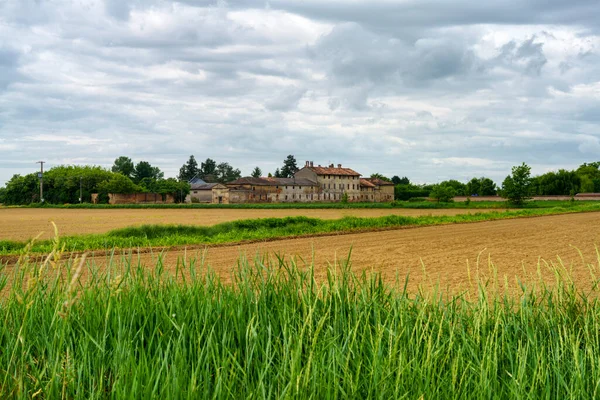 Lkbaharda Certosa Pavia Yakınlarındaki Kırsal Alan Pavia Ili Lombardy Talya — Stok fotoğraf
