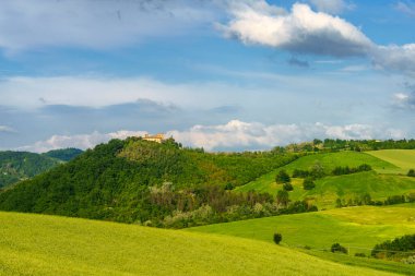 Oltrepo Pavese, Lombardy, İtalya 'daki üzüm bağları. Borgo Priolo yakınlarındaki ilkbaharda kırsal alan