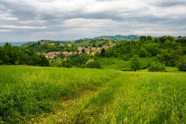 Vinice Oltrepo Pavese Lombardie Itálie Venkovská Krajina Jaře Casteggia — Stock fotografie