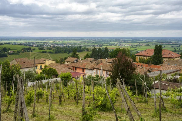 Vignobles Oltrepo Pavese Lombardie Italie Paysage Rural Printemps Près Casteggio — Photo