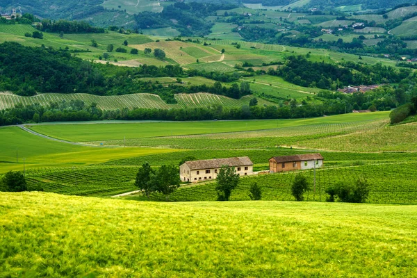 Vignobles Oltrepo Pavese Lombardie Italie Paysage Rural Printemps Près Montalto — Photo