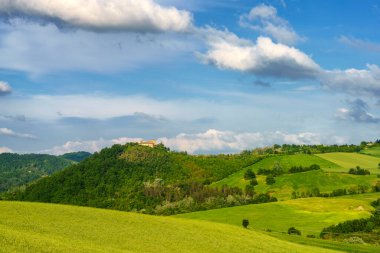 Oltrepo Pavese, Lombardy, İtalya 'daki üzüm bağları. Borgo Priolo yakınlarındaki ilkbaharda kırsal alan