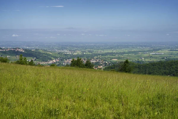 Wijngaarden Heuvels Van Tortona Colli Tortonesi Provincie Alessandria Piemonte Italië — Stockfoto