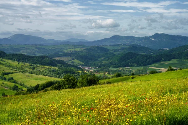 Vigneti Sulle Colline Tortona Colli Tortonesi Provincia Alessandria Piemonte Italia — Foto Stock