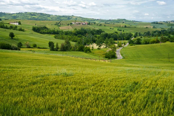 Τοπίο Στους Λόφους Tortona Colli Tortonesi Στην Επαρχία Alessandria Πεδεμόντιο — Φωτογραφία Αρχείου