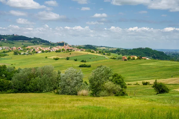 Krajobraz Wzgórzach Tortona Colli Tortonesi Prowincji Alessandria Piemont Włochy Wiosną — Zdjęcie stockowe