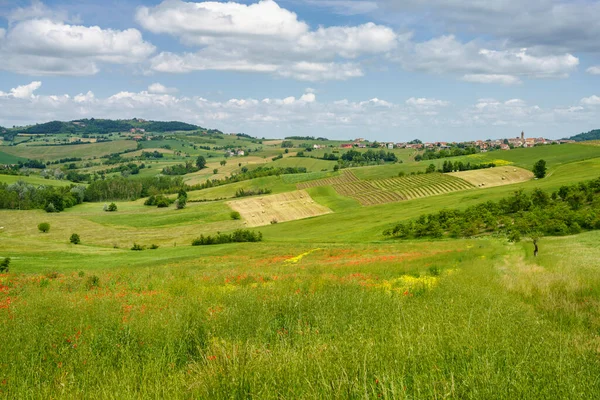 Landschaft Auf Den Hügeln Von Tortona Colli Tortonesi Der Provinz — Stockfoto