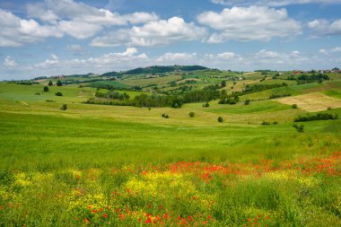 İtalya 'nın Piedmont eyaletindeki Tortona tepelerinde (Colli Tortonesi) manzara..
