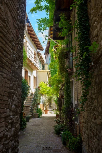 Volpedo Historic Town Tortona Hills Piedmont Italy Old Street — Stock Photo, Image