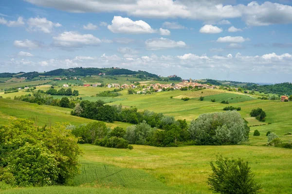 Landschaft Auf Den Hügeln Von Tortona Colli Tortonesi Der Provinz — Stockfoto