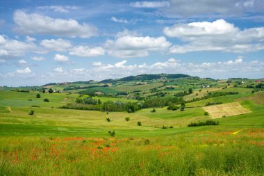 İtalya 'nın Piedmont eyaletindeki Tortona tepelerinde (Colli Tortonesi) manzara..