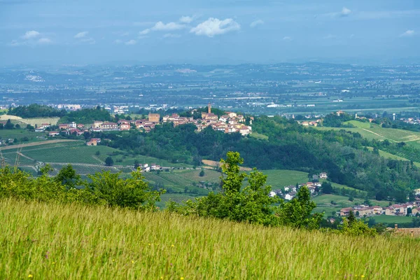 Vineyards Tortona Hills Colli Tortonesi Alessandria Province Piedmont Italy Springtime — Stock Photo, Image