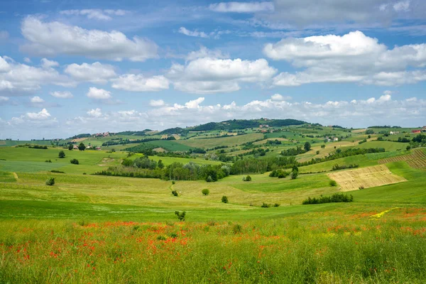 Landskap Tortonabergen Colli Tortonesi Provinsen Alessandria Piemonte Italien Våren — Stockfoto