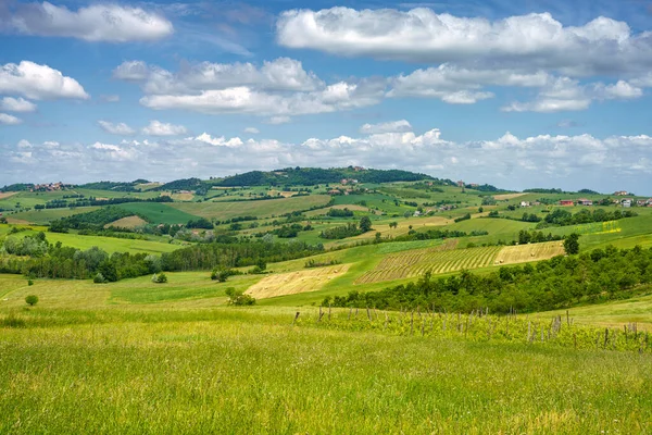 Пейзаж Холмах Тортона Colli Tortonesi Провинции Алессандрия Пьемонт Италия Весной — стоковое фото