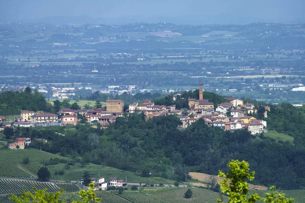 Vinodlingar Tortonabergen Colli Tortonesi Alessandriaprovinsen Piemonte Italien Våren — Stockfoto