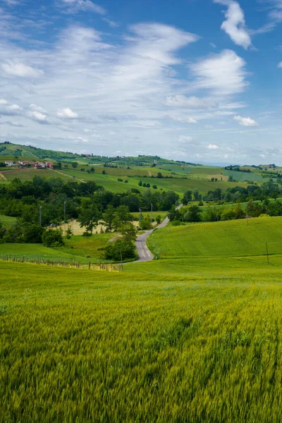 Talya Nın Piedmont Bölgesindeki Alessandria Ili Tortona Tepelerinde Colli Tortonesi — Stok fotoğraf