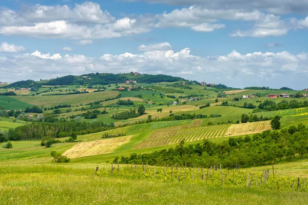 Krajina Kopcích Tortona Colli Tortonesi Provincii Alessandria Piemont Itálie Jaře — Stock fotografie