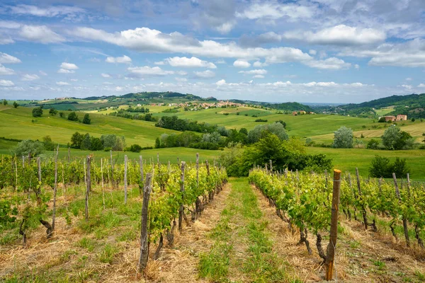 Krajobraz Wzgórzach Tortona Colli Tortonesi Prowincji Alessandria Piemont Włochy Wiosną — Zdjęcie stockowe