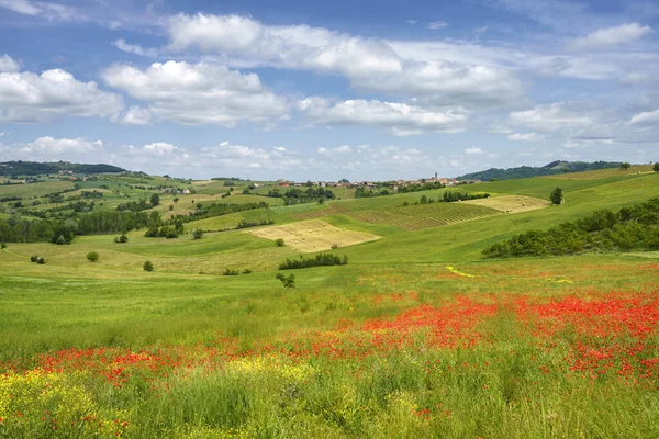 Talya Nın Piedmont Eyaletindeki Tortona Tepelerinde Colli Tortonesi Manzara — Stok fotoğraf