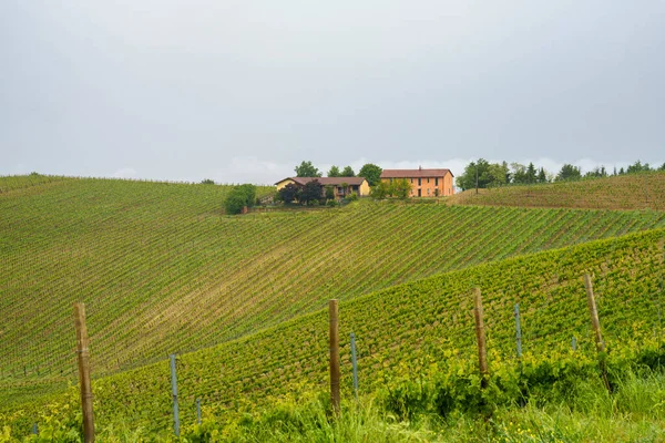 Ländliche Landschaft Monferrato Unesco Weltkulturerbe Weinberg Bei Acqui Terme Provinz — Stockfoto