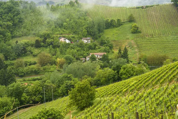 Landsbygdslandskap Monferrato Unescos Världsarv Vinodling Nära Acqui Terme Alessandriaprovinsen Piemonte — Stockfoto