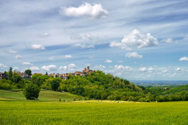 Krajobraz Wzgórzach Tortona Colli Tortonesi Prowincji Alessandria Piemont Włochy Wiosną — Zdjęcie stockowe