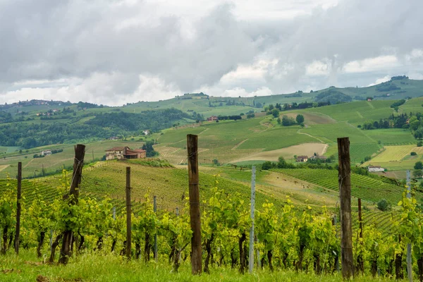 Landsbygdslandskap Monferrato Unescos Världsarv Vineyard Nära Mombaruzzo Asti Provinsen Piemonte — Stockfoto