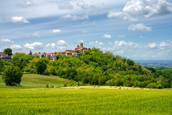 Τοπίο Στους Λόφους Tortona Colli Tortonesi Στην Επαρχία Alessandria Πεδεμόντιο — Φωτογραφία Αρχείου