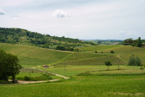 ユネスコの世界遺産モンフェラートの農村風景 イタリア ピエモンテ州アレッサンドリア州ガヴィ付近のブドウ畑 — ストック写真