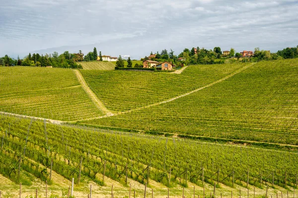 Paesaggio Rurale Nel Monferrato Patrimonio Dell Umanità Unesco Vigneto Vicino — Foto Stock