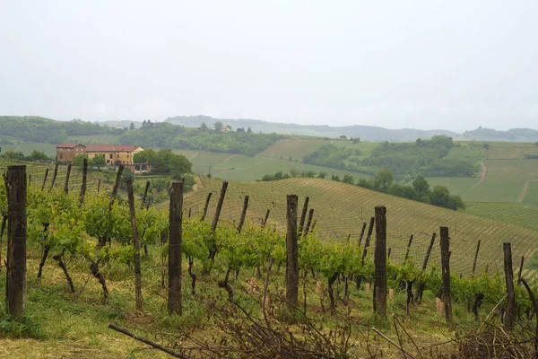 Ländliche Landschaft Monferrato Unesco Weltkulturerbe Weinberg Bei Acqui Terme Provinz — Stockfoto