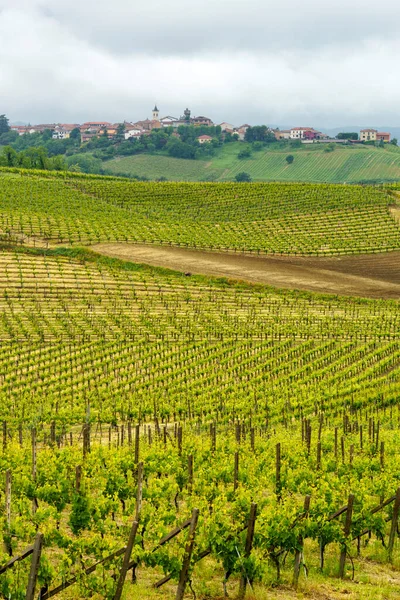 Krajobraz Wiejski Monferrato Unesco Światowego Dziedzictwa Unesco Winnica Pobliżu Acqui — Zdjęcie stockowe