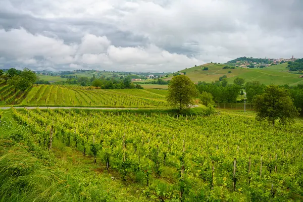 Rural Landscape Monferrato Unesco World Heritage Site Vineyard Acqui Terme — Stock Photo, Image
