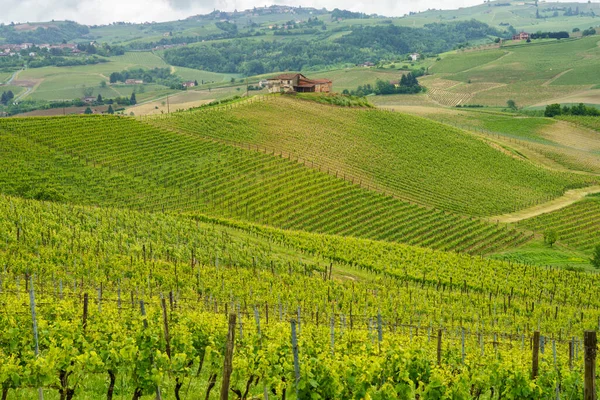 ユネスコの世界遺産モンフェラートの農村風景 イタリアのピードモント州アスティ県モンバルーゾ近くのブドウ畑 — ストック写真