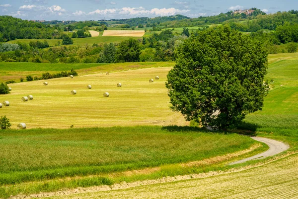 Krajobraz Wzgórzach Tortona Colli Tortonesi Prowincji Alessandria Piemont Włochy Wiosną — Zdjęcie stockowe