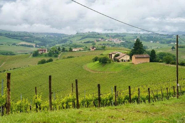 Landsbygdslandskap Monferrato Unescos Världsarv Vineyard Nära Mombaruzzo Asti Provinsen Piemonte — Stockfoto